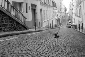 montmartre_web