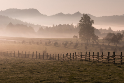 louky-u-ceske-lipy_web