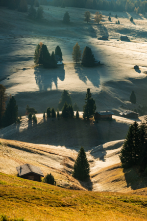 dolomity, sunrise, meadow, alpe di siussi