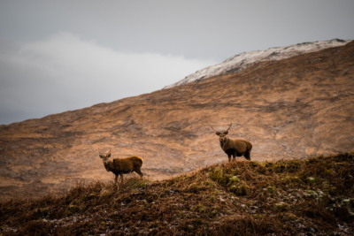 scotland, landscape, isleofskye